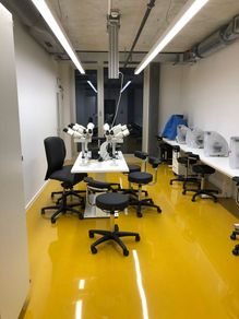 Tables de travail de INNLAB - fournisseur d'équipements de laboratoire sur mesure et décorateur intérieur de Allschwil, Rodersdorf et Bâle